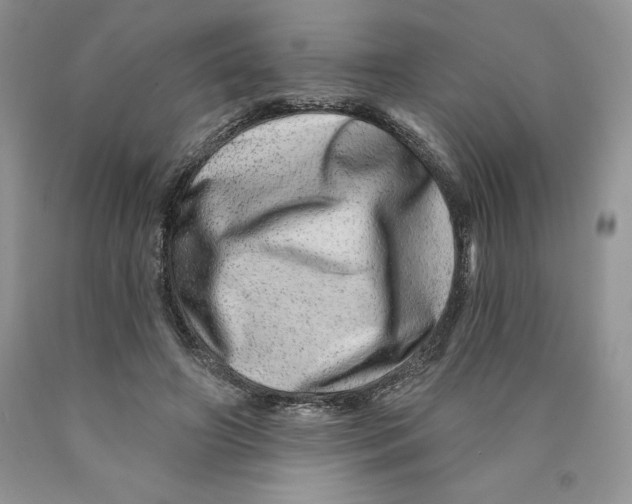 X0000089940498200707271821