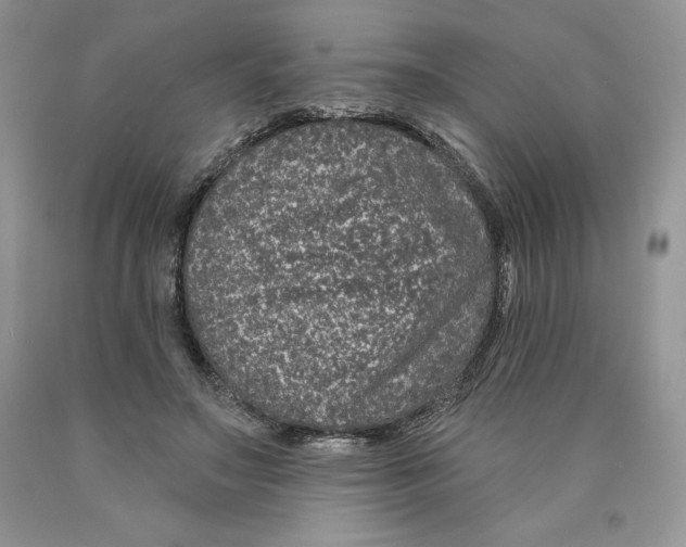 X0000089940499200707271821