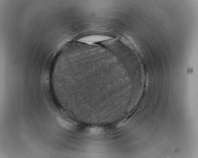 X0000089940500200707271821