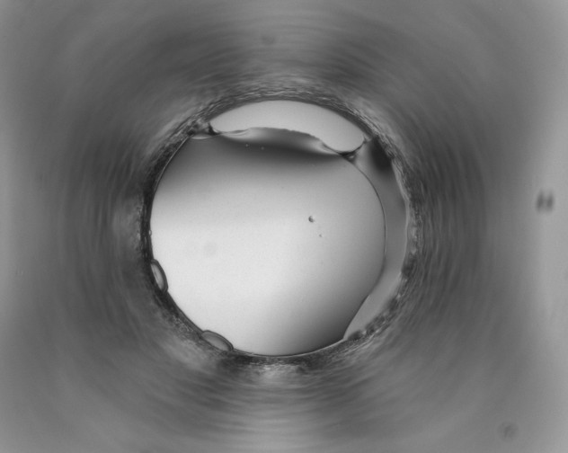 X0000089940501200707271821