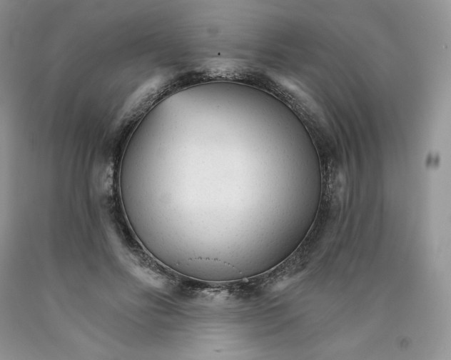 X0000089940502200707271821