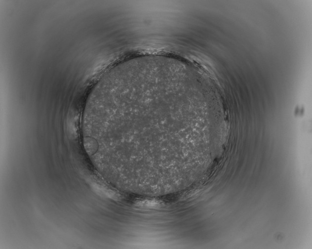 X0000089940503200707271821
