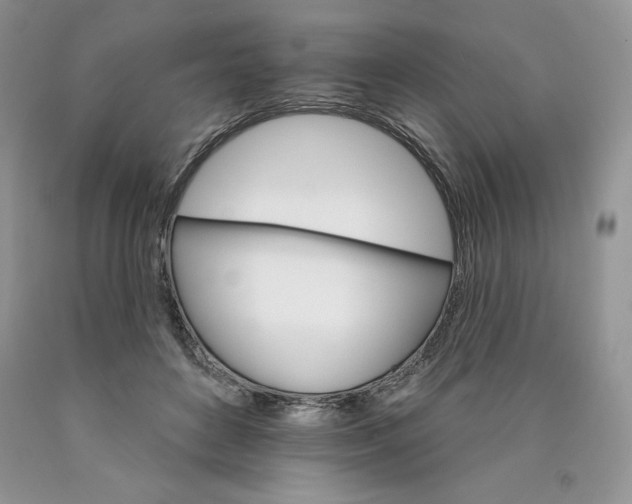 X0000089940504200707271821