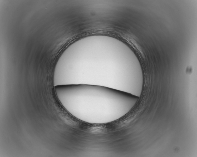 X0000089940505200707271821