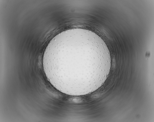 X0000089940506200707271821