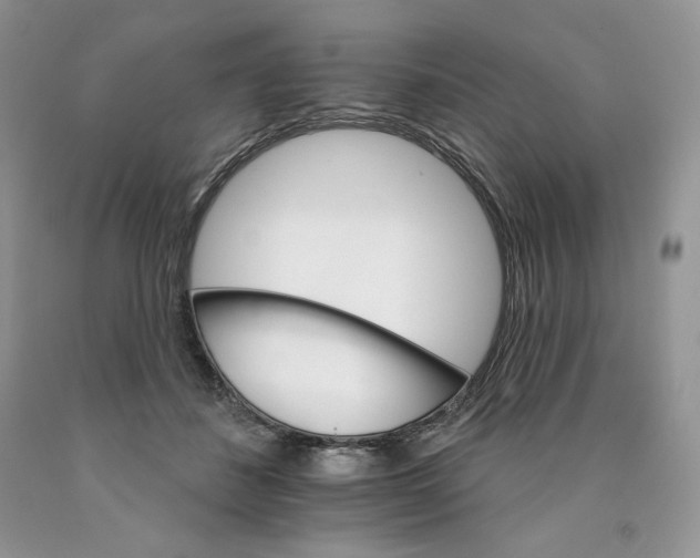 X0000089940508200707271821