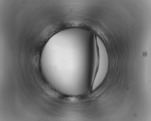 X0000089940509200707271821