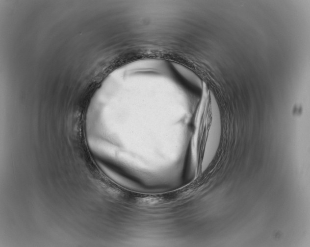 X0000089940511200707271821