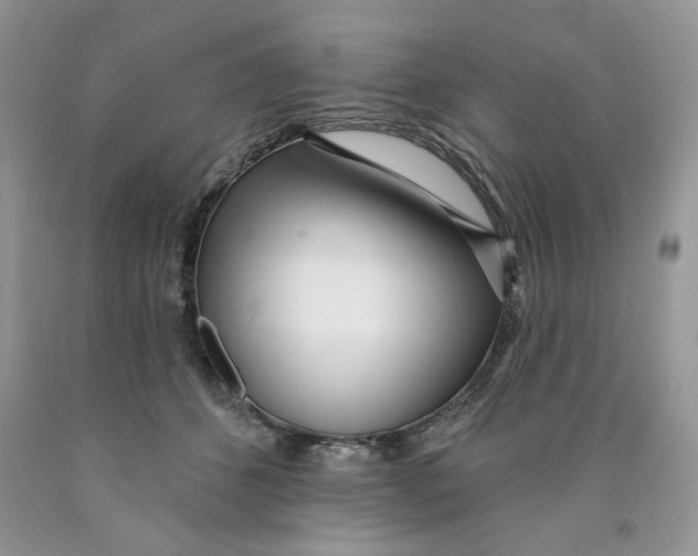 X0000089940512200707271821
