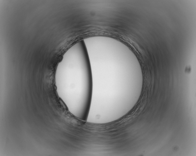 X0000089940513200707271821