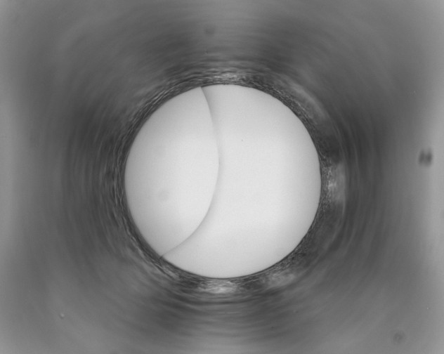 X0000089940514200707271821