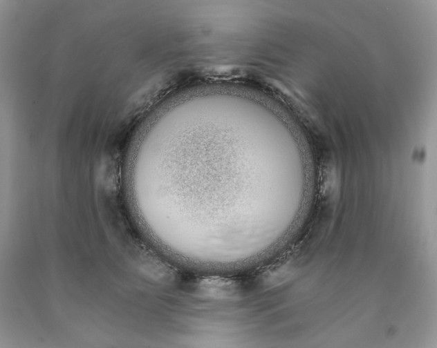 X0000089940515200707271821