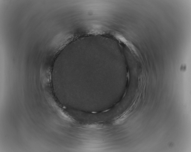 X0000089940517200707271821