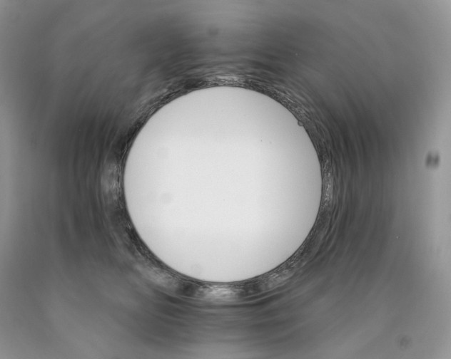 X0000089940518200707271821