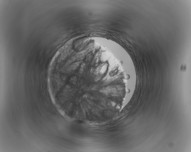 X0000089940519200707271821
