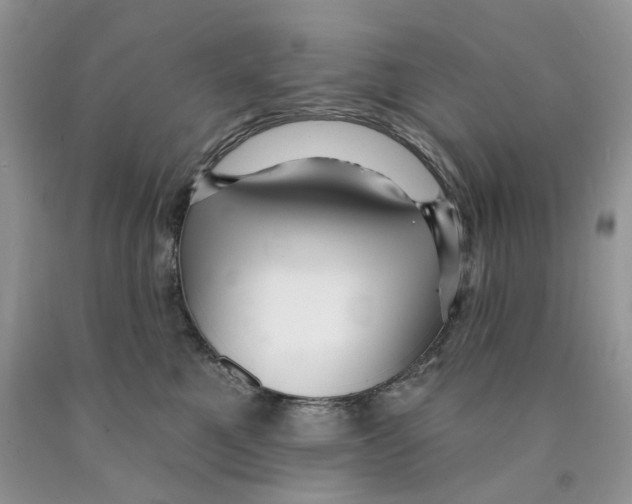 X0000089940521200707271821
