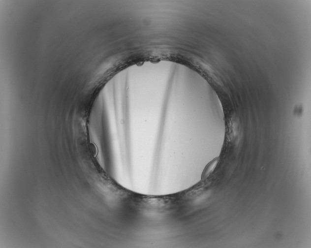 X0000089940522200707271821