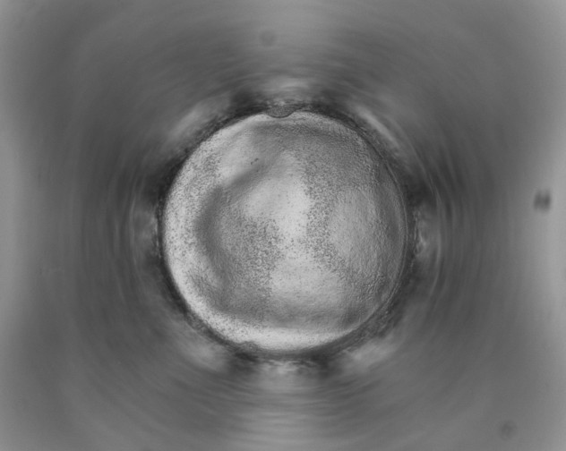 X0000089940523200707271821