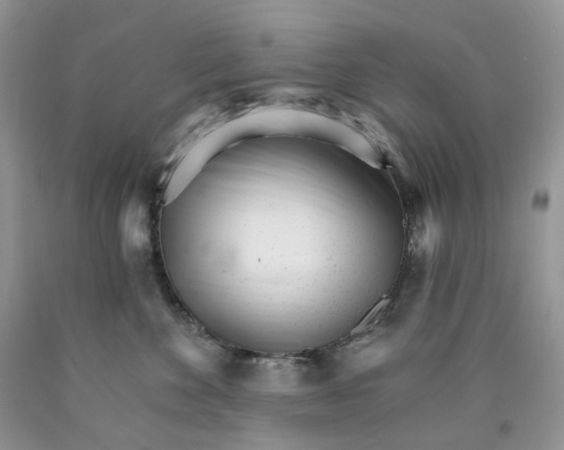 X0000089940524200707271821