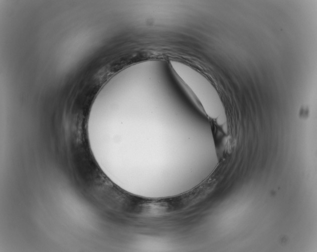 X0000089940525200707271821
