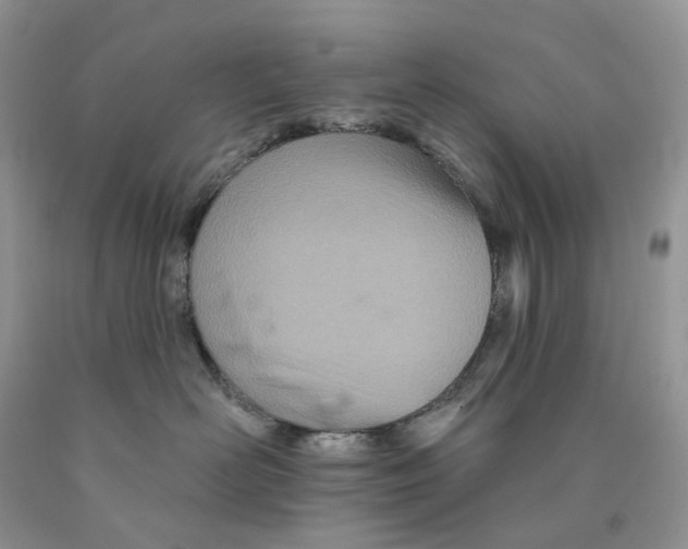 X0000089940526200707271821