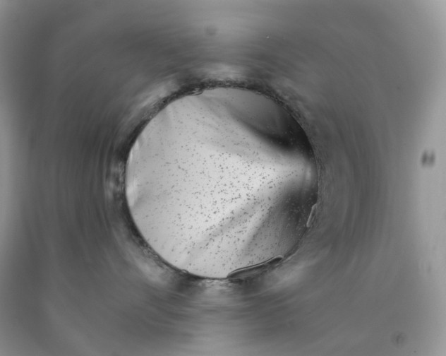 X0000089940528200707271821