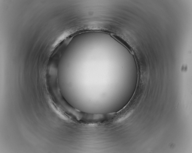 X0000089940530200707271820