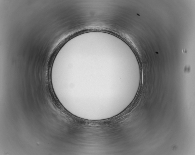 X0000089940531200707271820