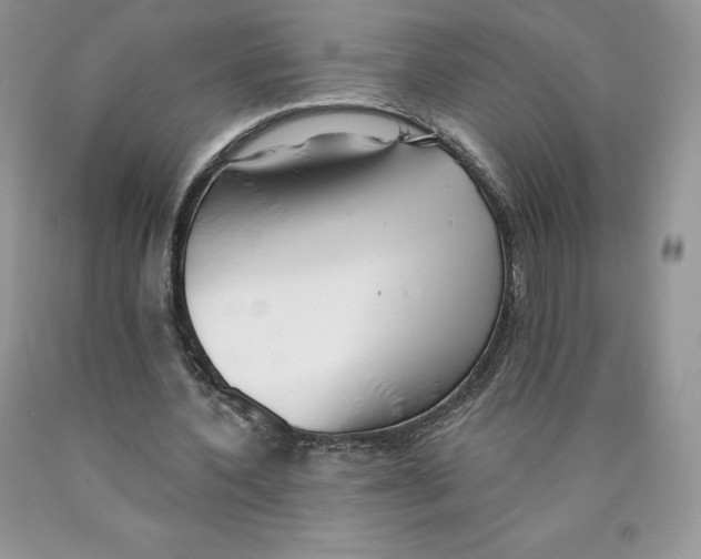 X0000089940532200707271820