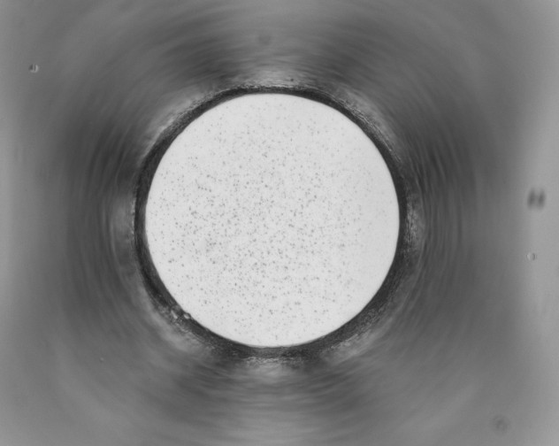 X0000089940534200707271820