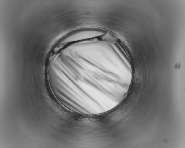 X0000089940535200707271820