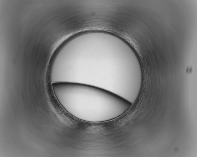 X0000089940536200707271820