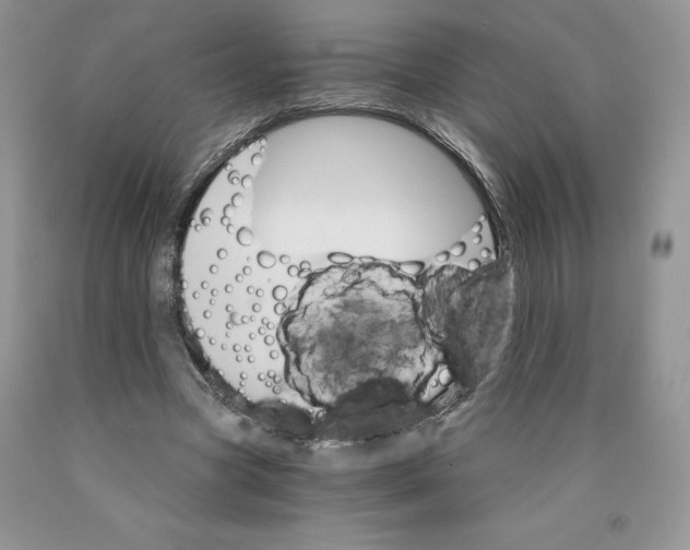 X0000089940537200707271820
