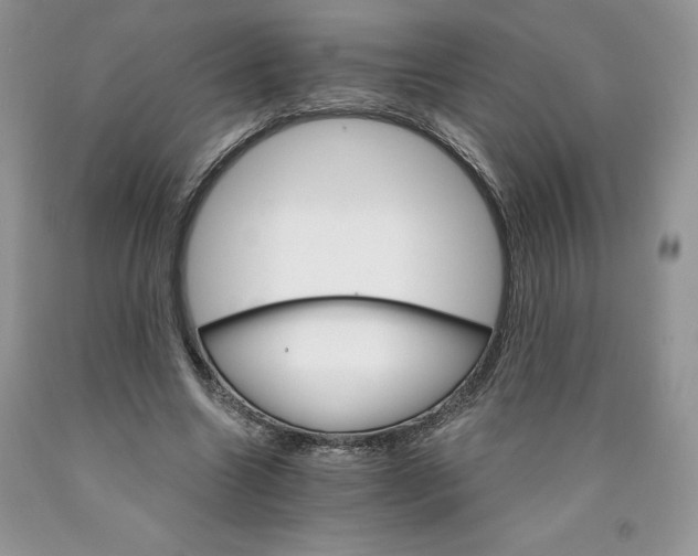 X0000089940538200707271820