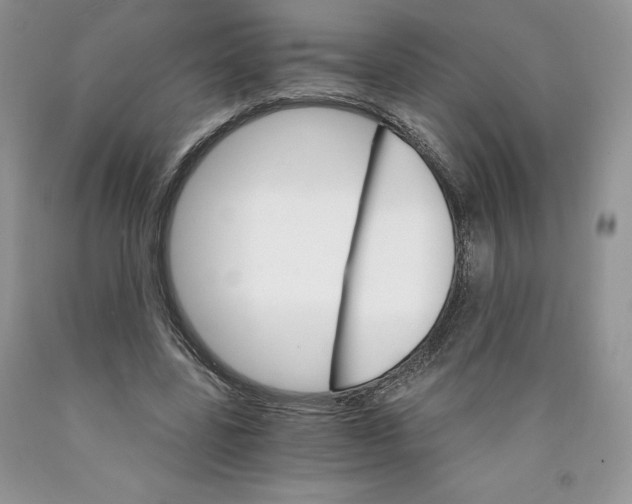 X0000089940539200707271820