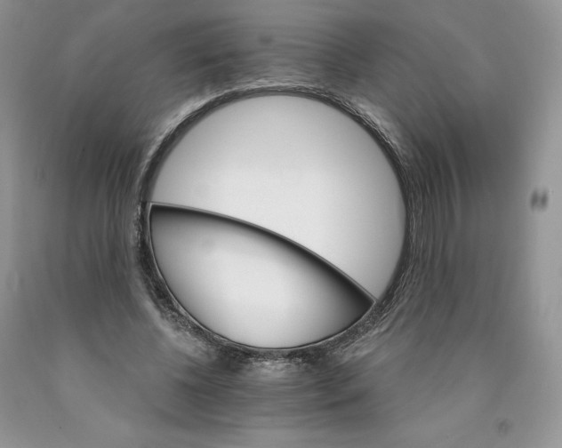 X0000089940540200707271820
