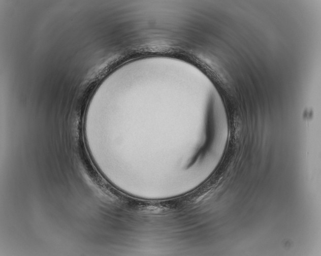 X0000089940542200707271820