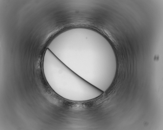 X0000089940543200707271820