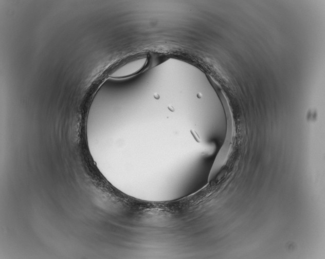 X0000089940544200707271820
