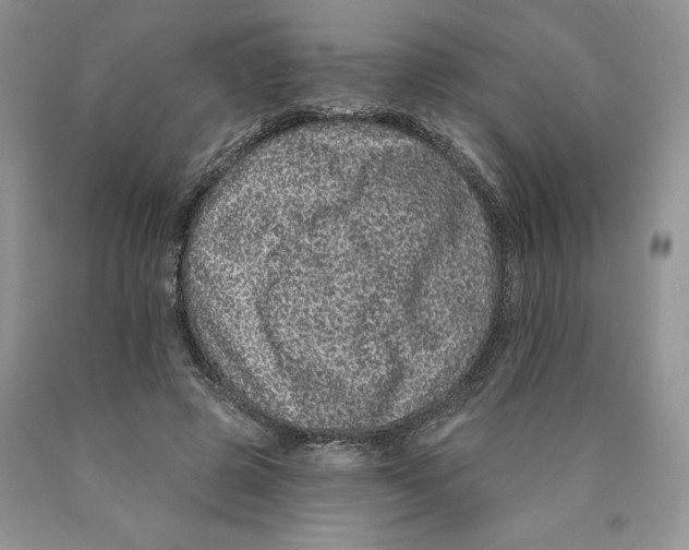 X0000089940545200707271820