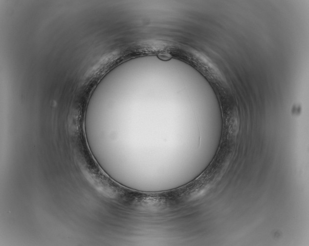 X0000089940546200707271820