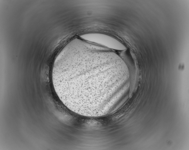 X0000089940547200707271820