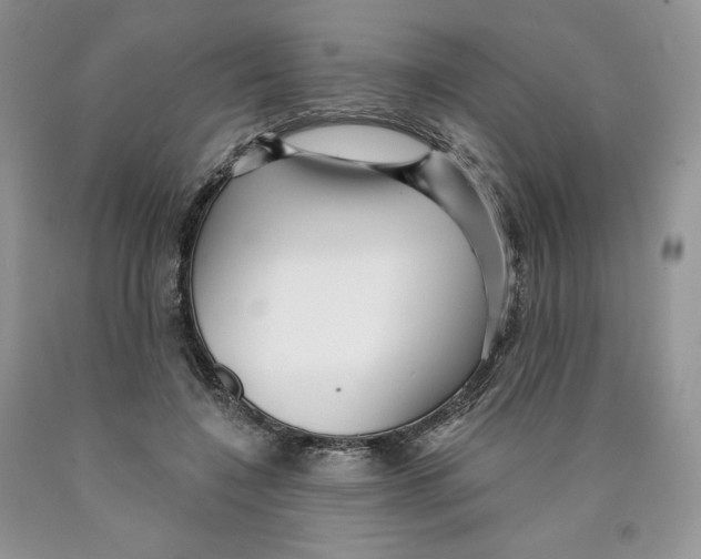 X0000089940548200707271820