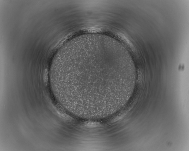 X0000089940549200707271820