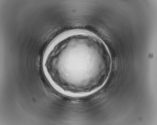X0000089940550200707271820