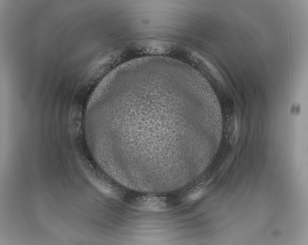 X0000089940553200707271820