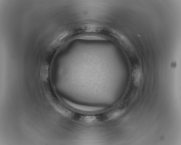X0000089940554200707271820