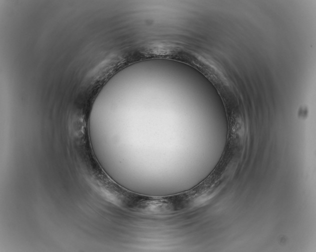X0000089940555200707271820