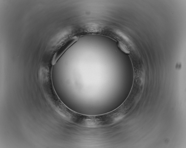 X0000089940556200707271820