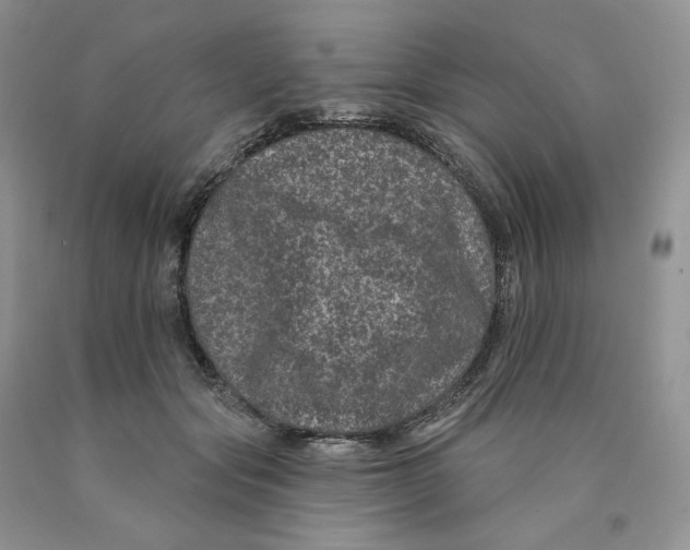 X0000089940557200707271820